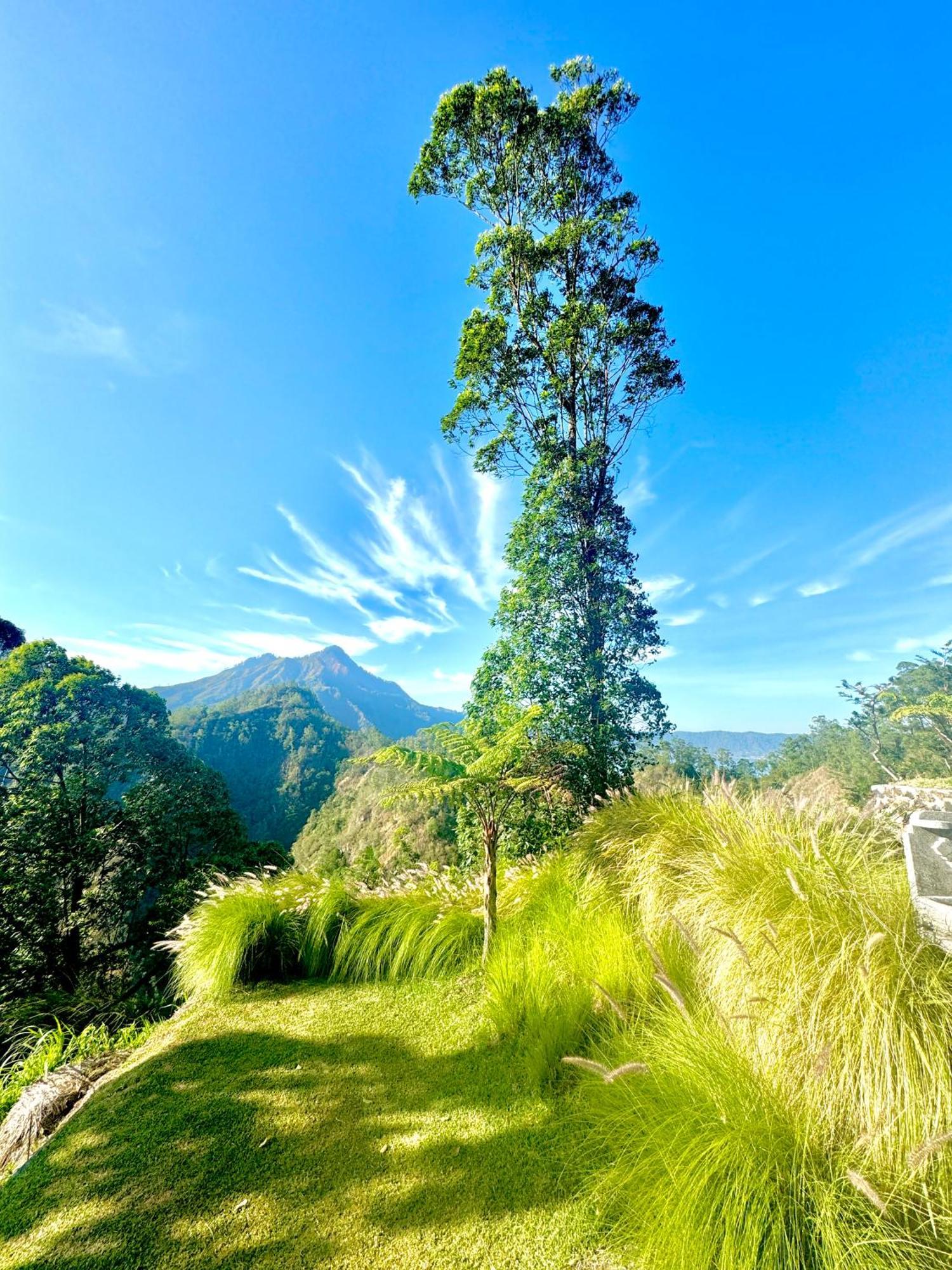 Hotel Alengkong Bali Camp Bangli Esterno foto